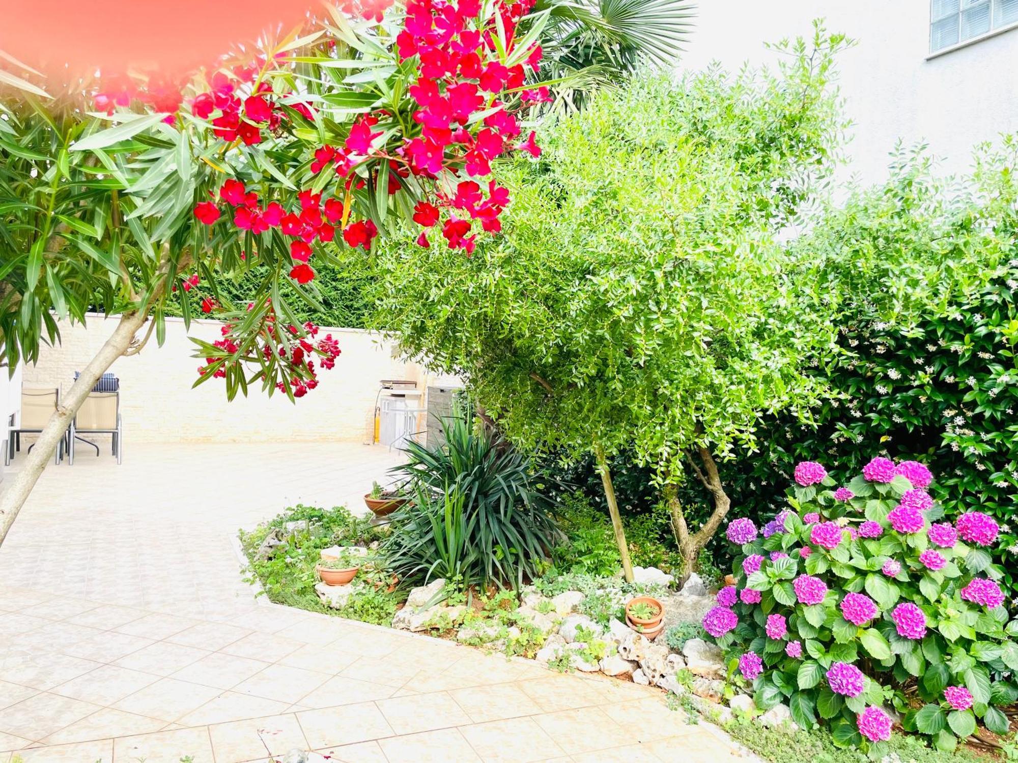 Appartement Olea