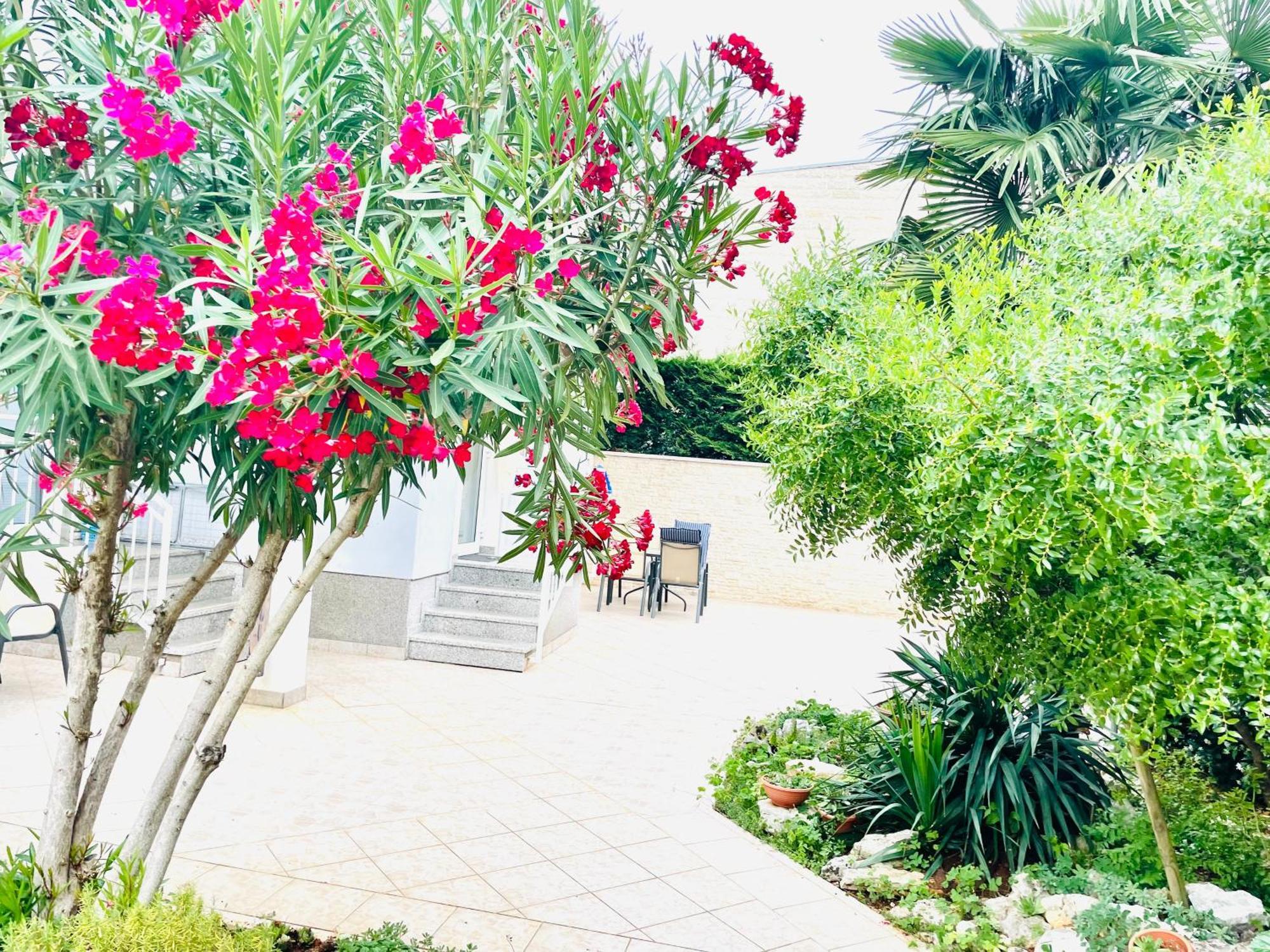 Appartement Olea Umag